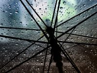 Regenschirm-Karte  "Beschirmt"